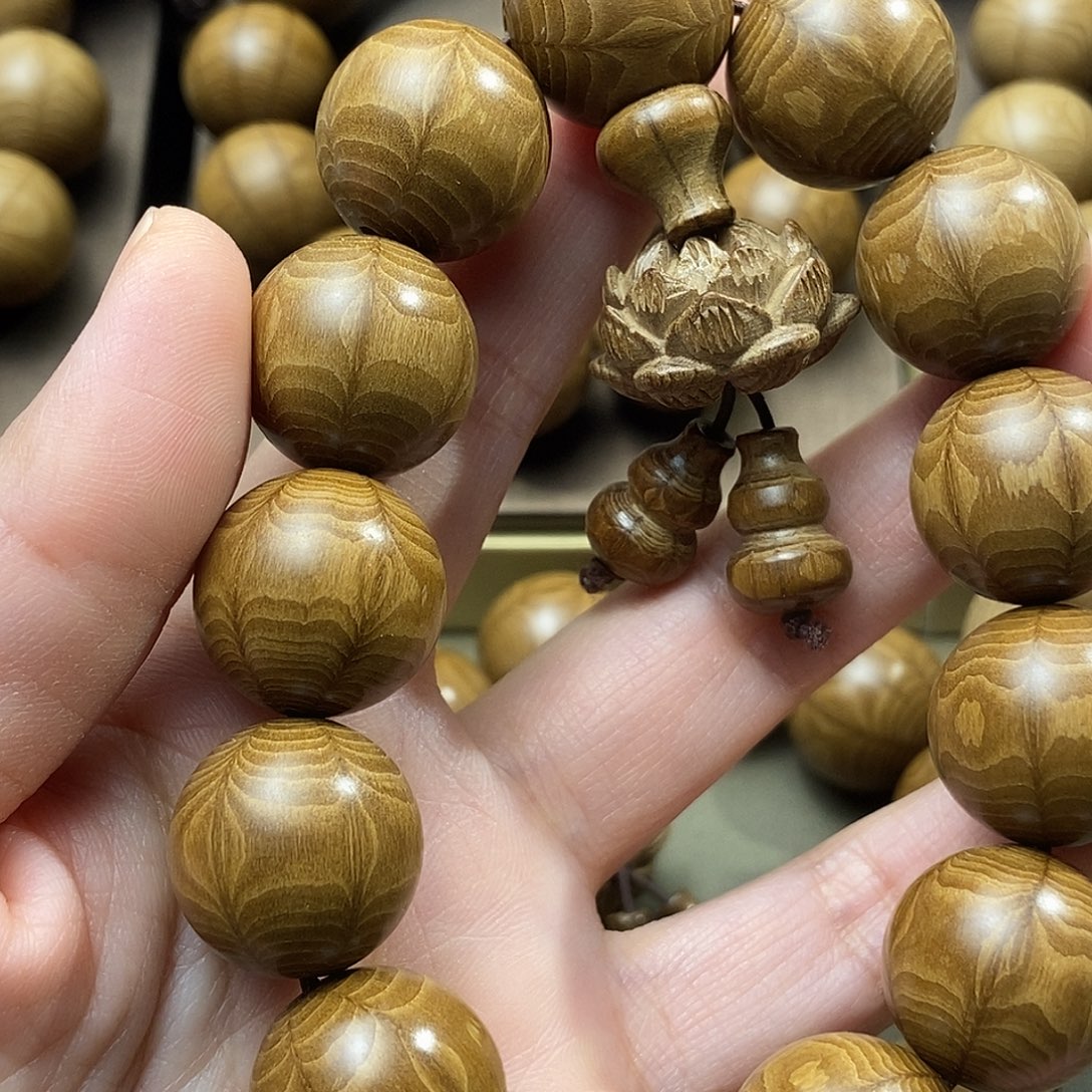 小***童六道木山西五台山