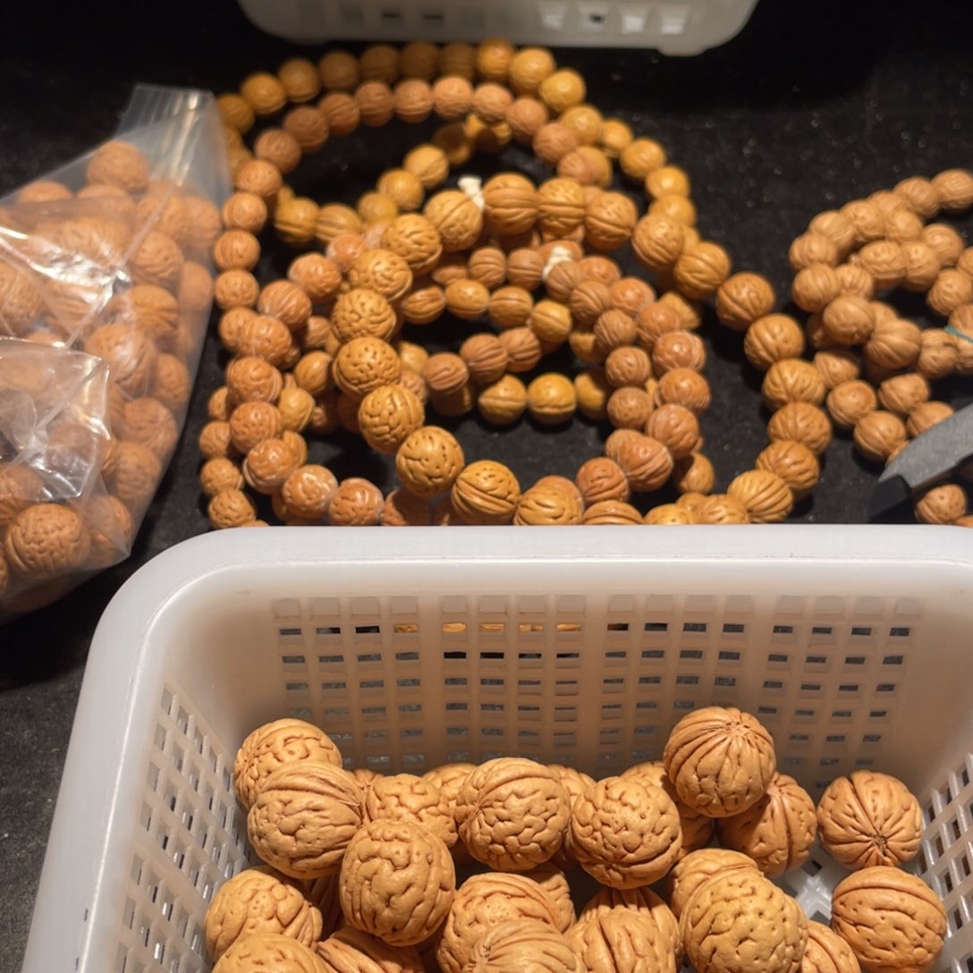 【闪购商品】辉散子批发70米