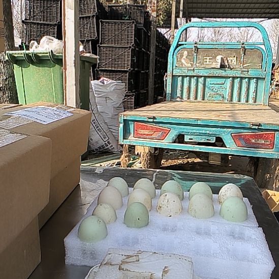 嘻****包装中国大陆1500g鸭蛋