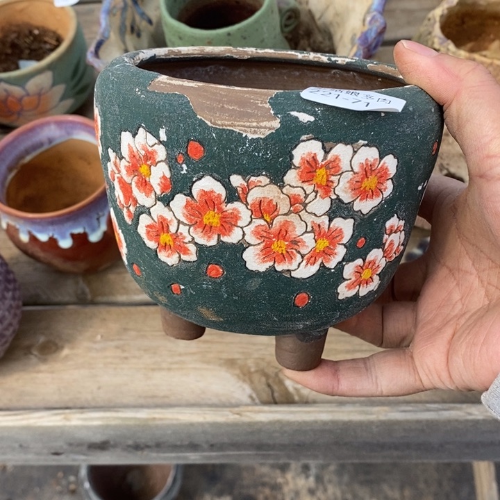 红陶用****971号多肉盆一个呀