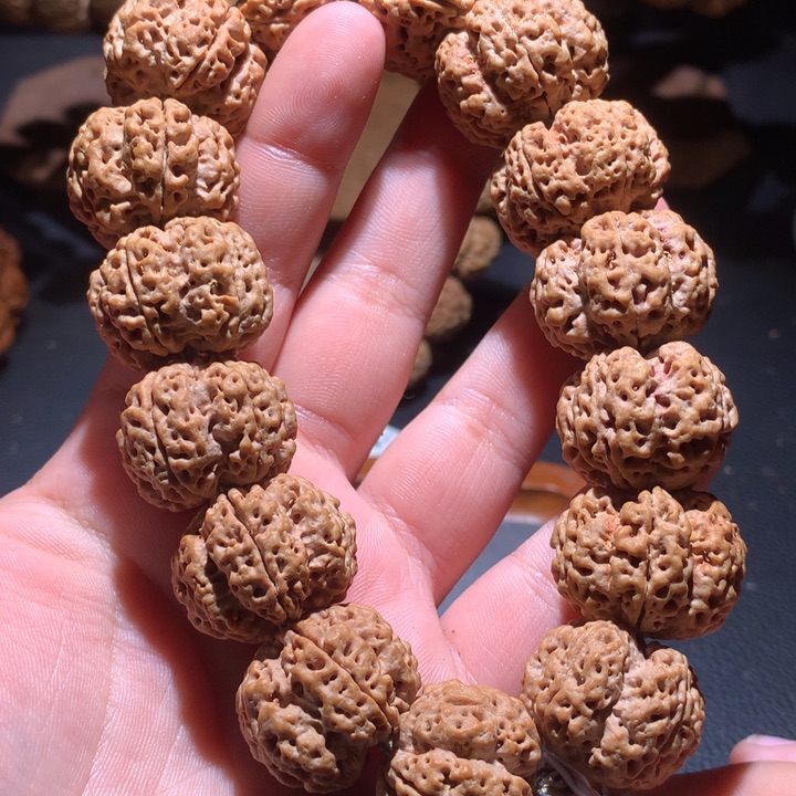 菩提籽类25+无双梅花