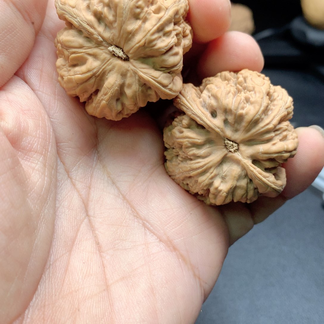 文玩核桃把件Z**o大粗筋