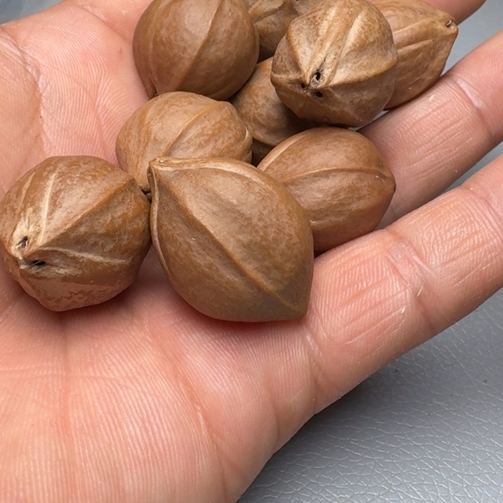 橄榄核手串初*橄榄核669