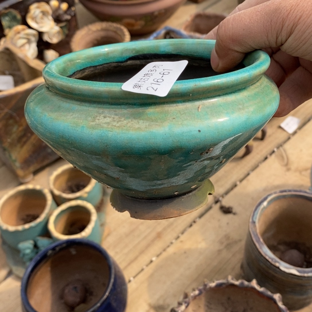 红陶S****r61号多肉盆一个呀