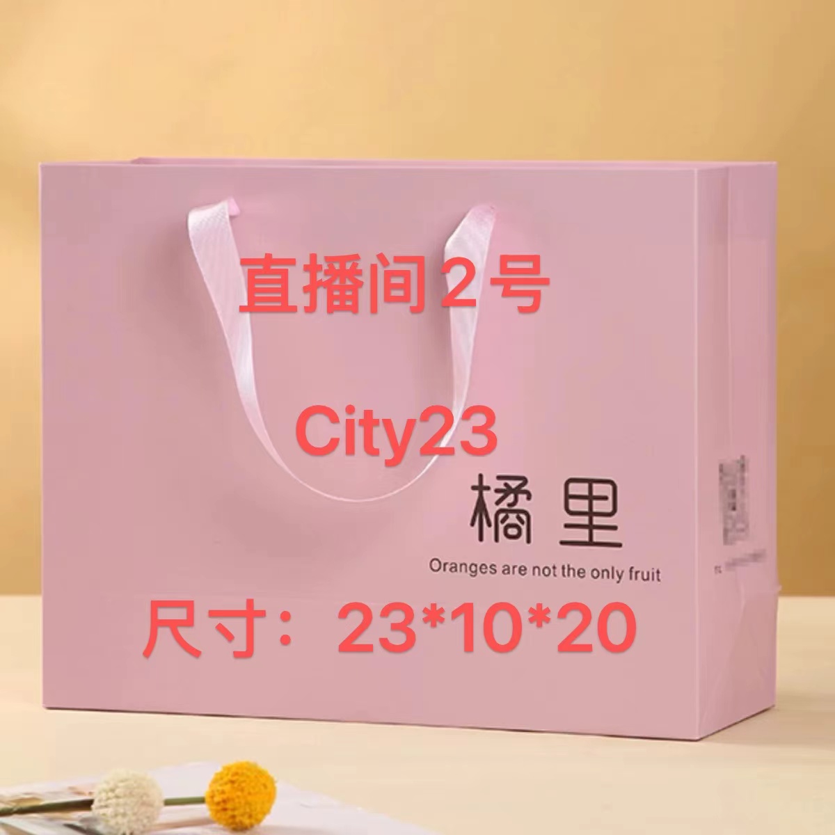 YA【2号】2025新款百搭时尚女包  City23
