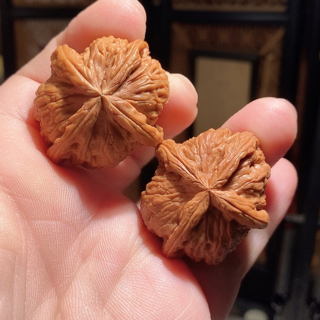 文玩核桃把件39白狮子四棱