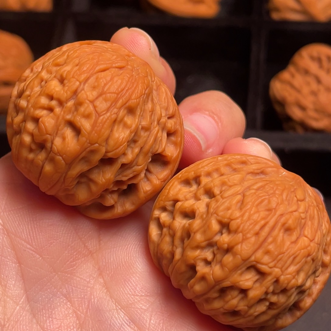 文玩核桃把件秦岭野生核桃