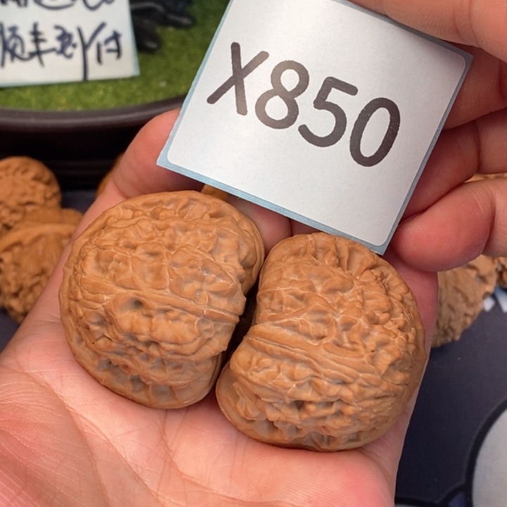 文玩核桃把件白狮子42160850