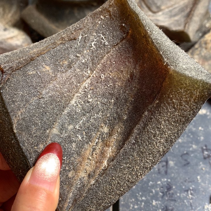 鹿骨手串/手链193克