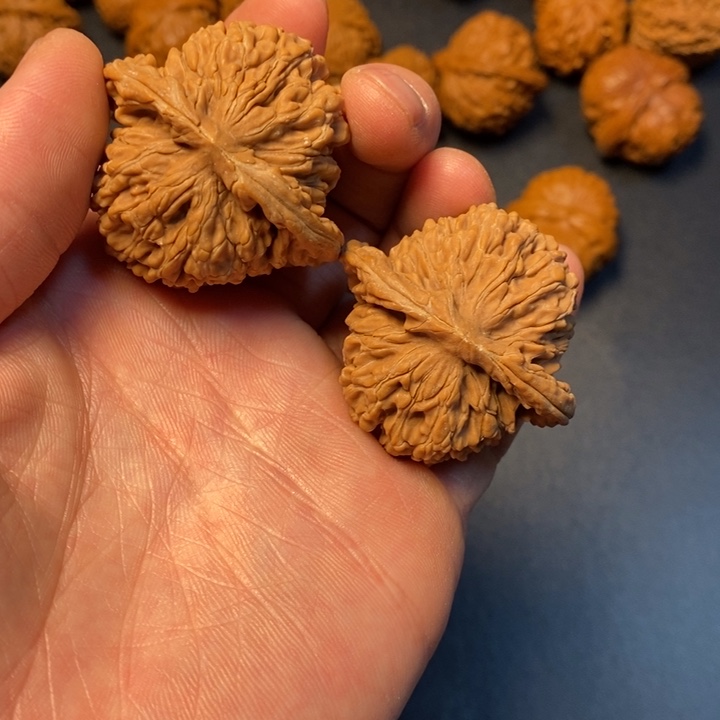 文玩核桃把件1号四座楼42尺全品