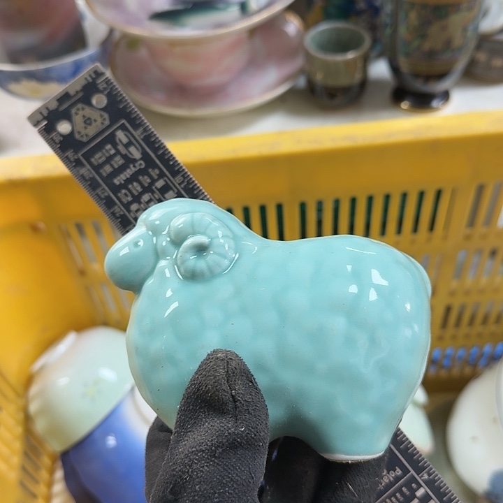 碗开播啦….开播啦