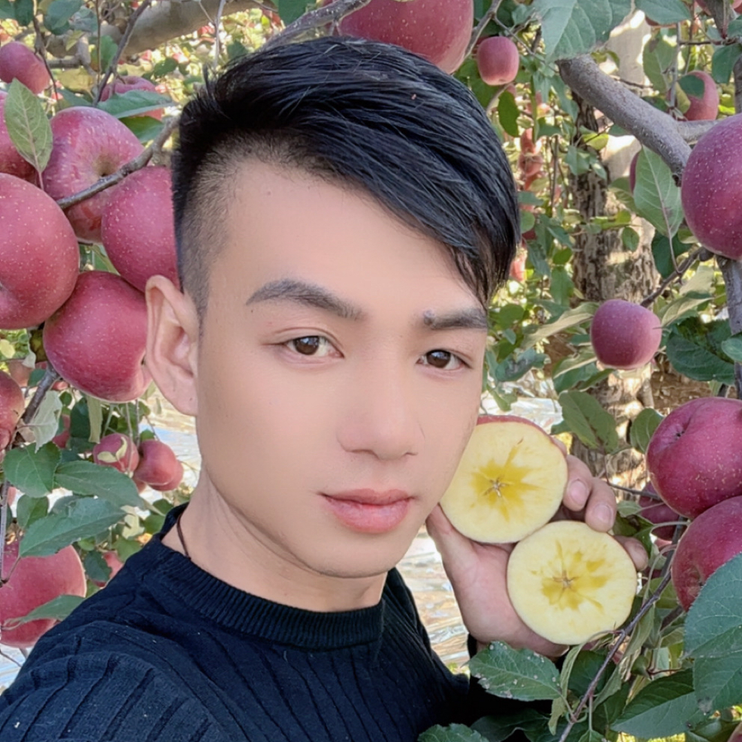 正宗云南昭通冰糖心丑苹果