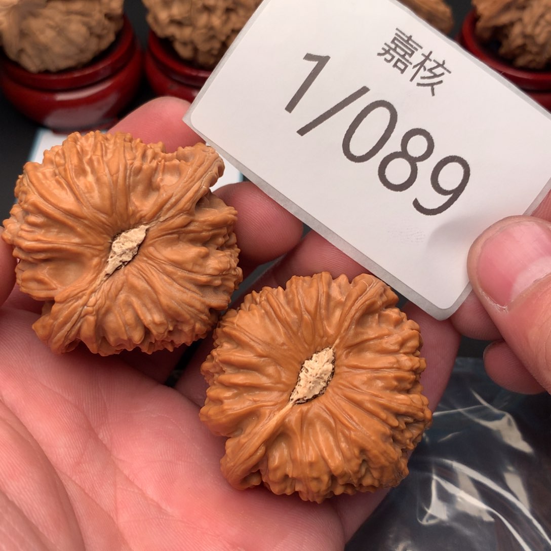 文玩核桃把件自***魂全品凹底白狮子46