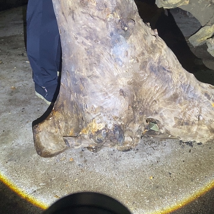 映***红手串/手链楠木（金丝楠）