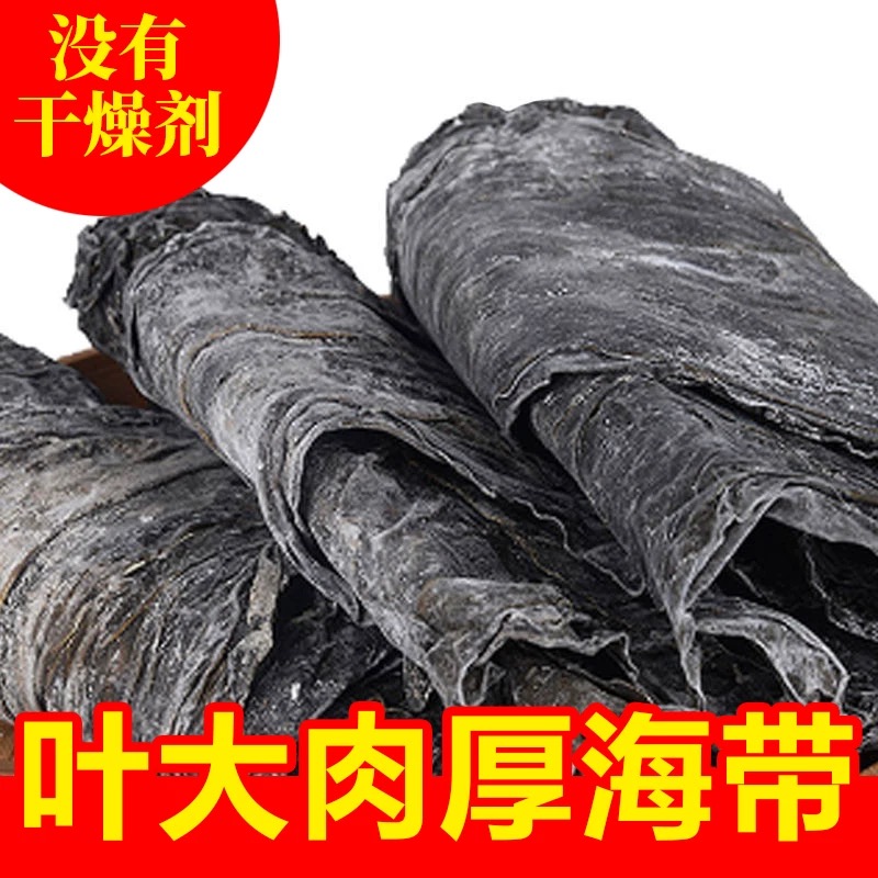 2025福建霞浦海带干货日晒新菜大片手工挂晒海洋蔬菜