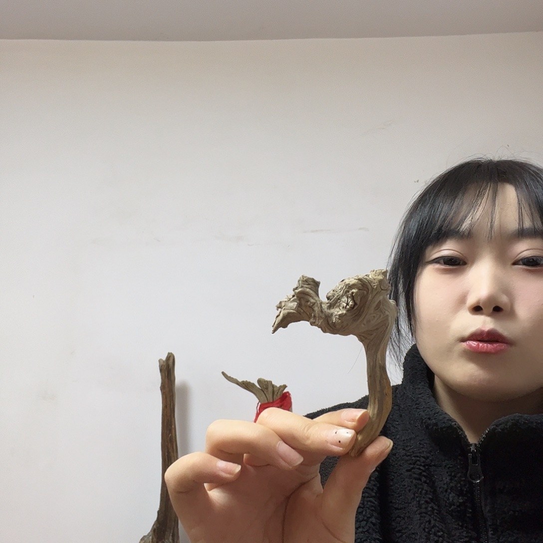 月***上柏木（崖柏）这个世界上没有什么东西是什么