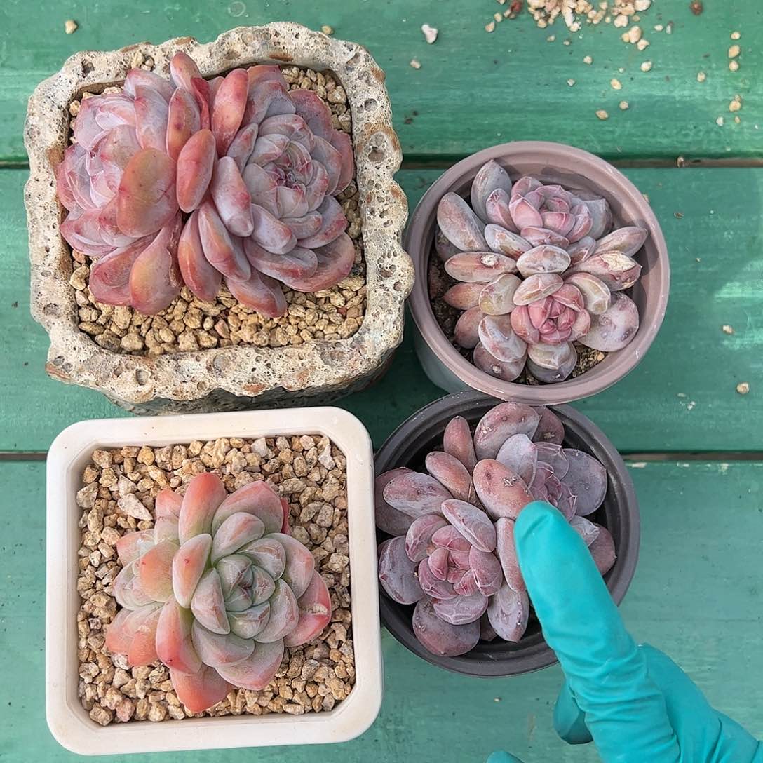 xnbjhjghbjhjhjvhghghhhgy