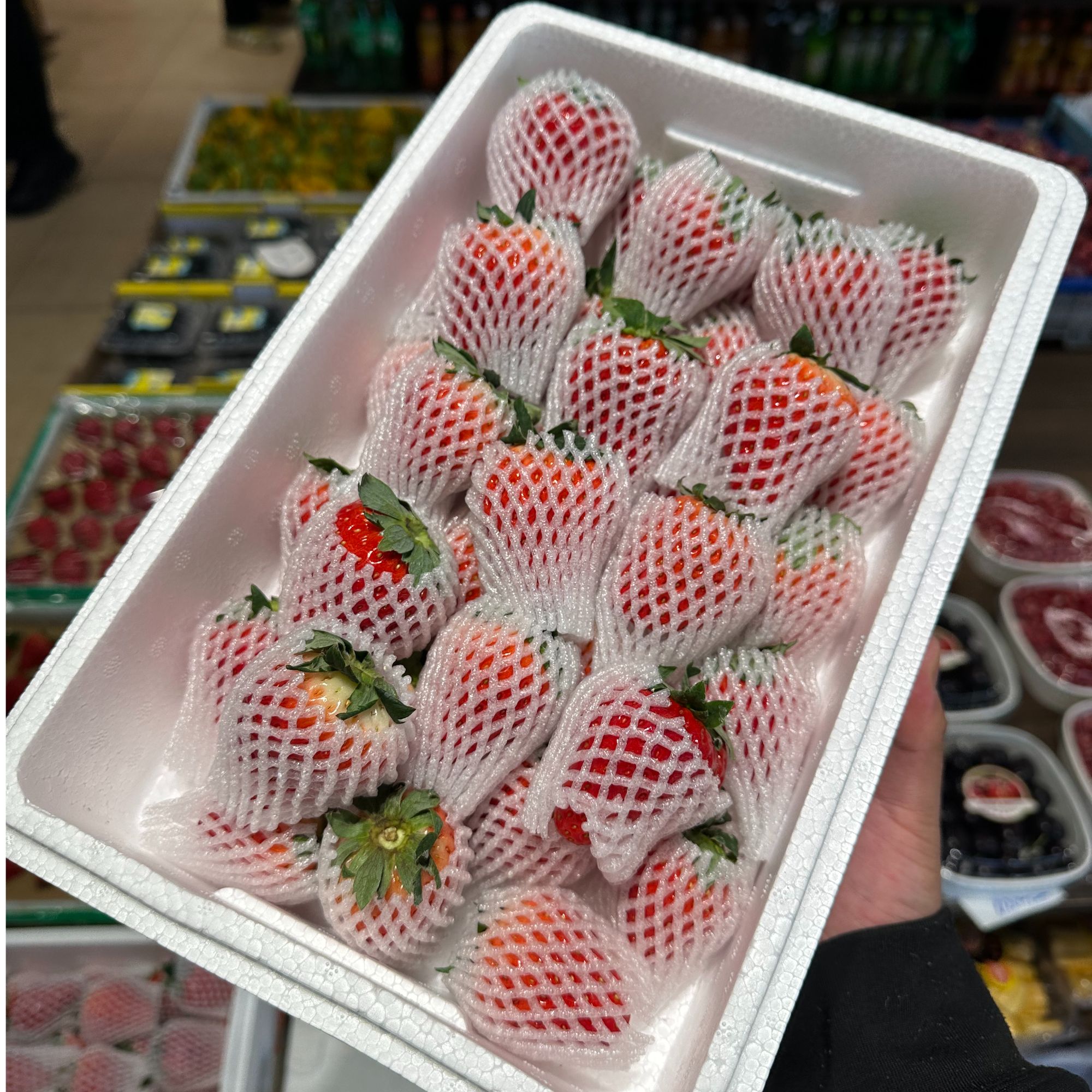 丹东九九草莓特大果一箱约三斤【115元/箱】约35-45个