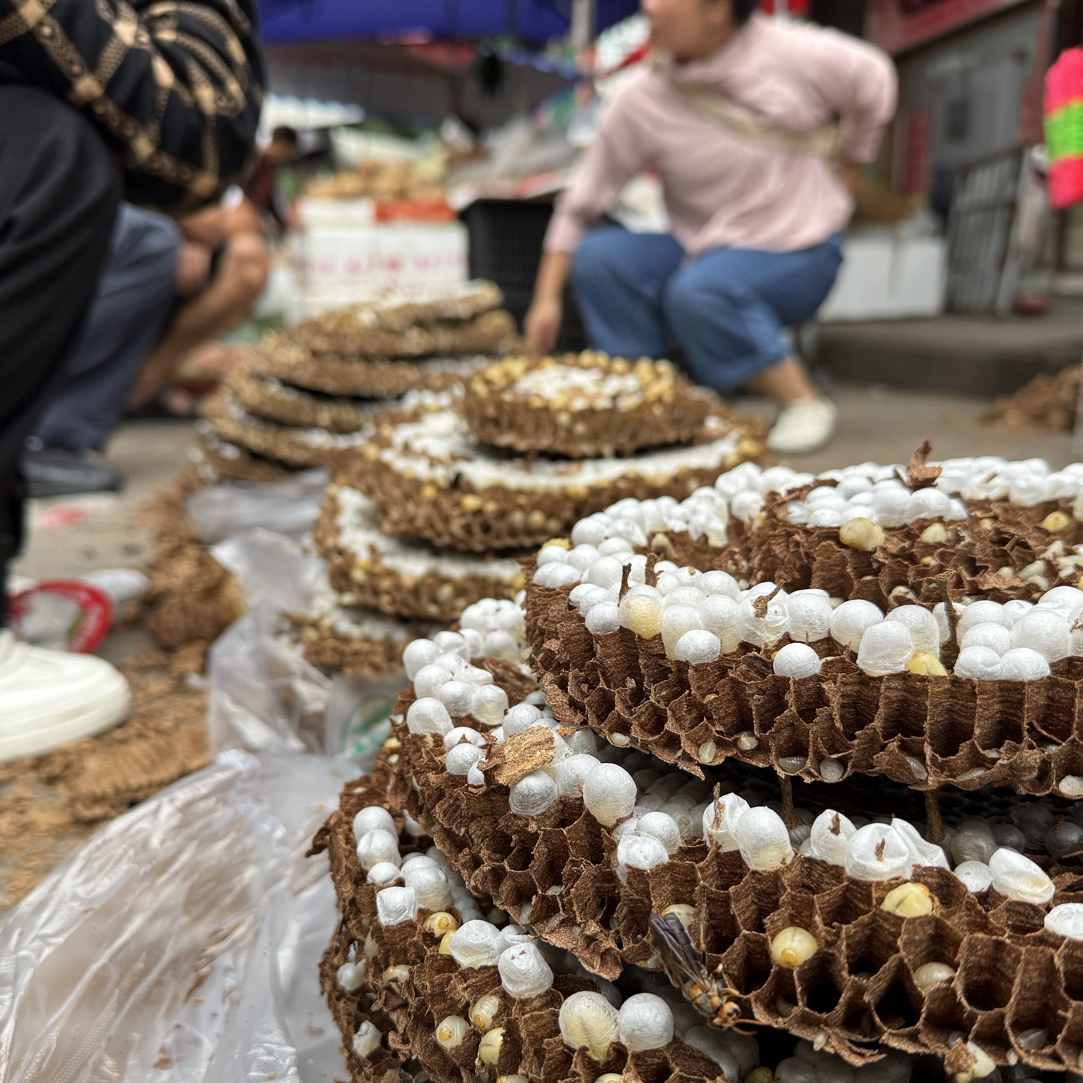 【山区土货山货·综合链接】山区的应季蔬菜 水果 野葱 农家干货