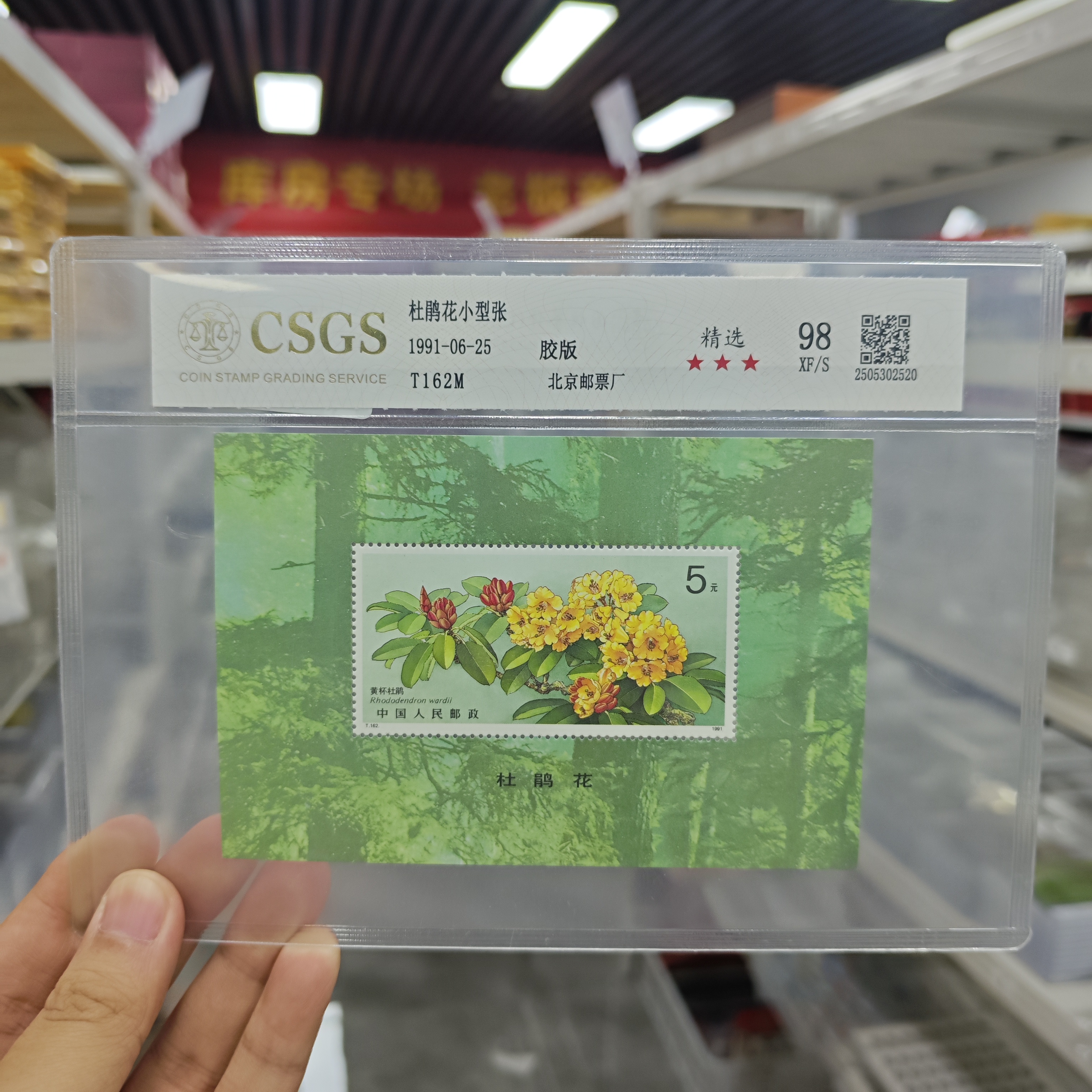 【精选】T162M 杜鹃花小型张 98 XF/S 三星