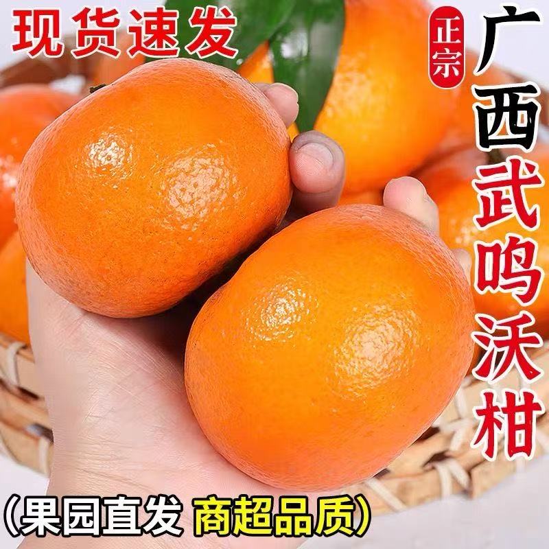 【正宗沃柑】广西武鸣沃柑新鲜水果薄皮当季桔子桔子蜜桔整箱现摘