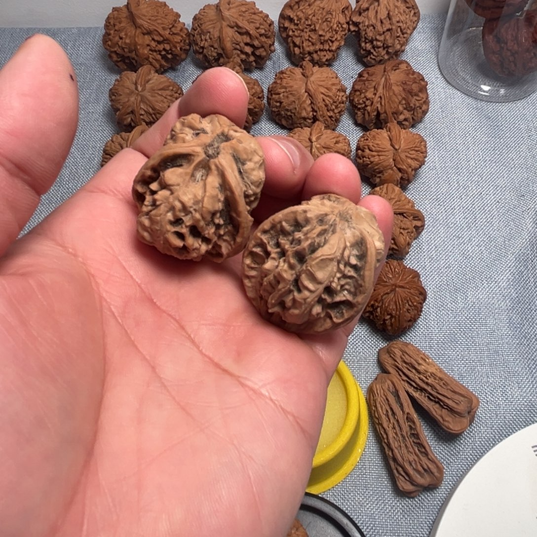 福***乐核桃核桃核桃核桃