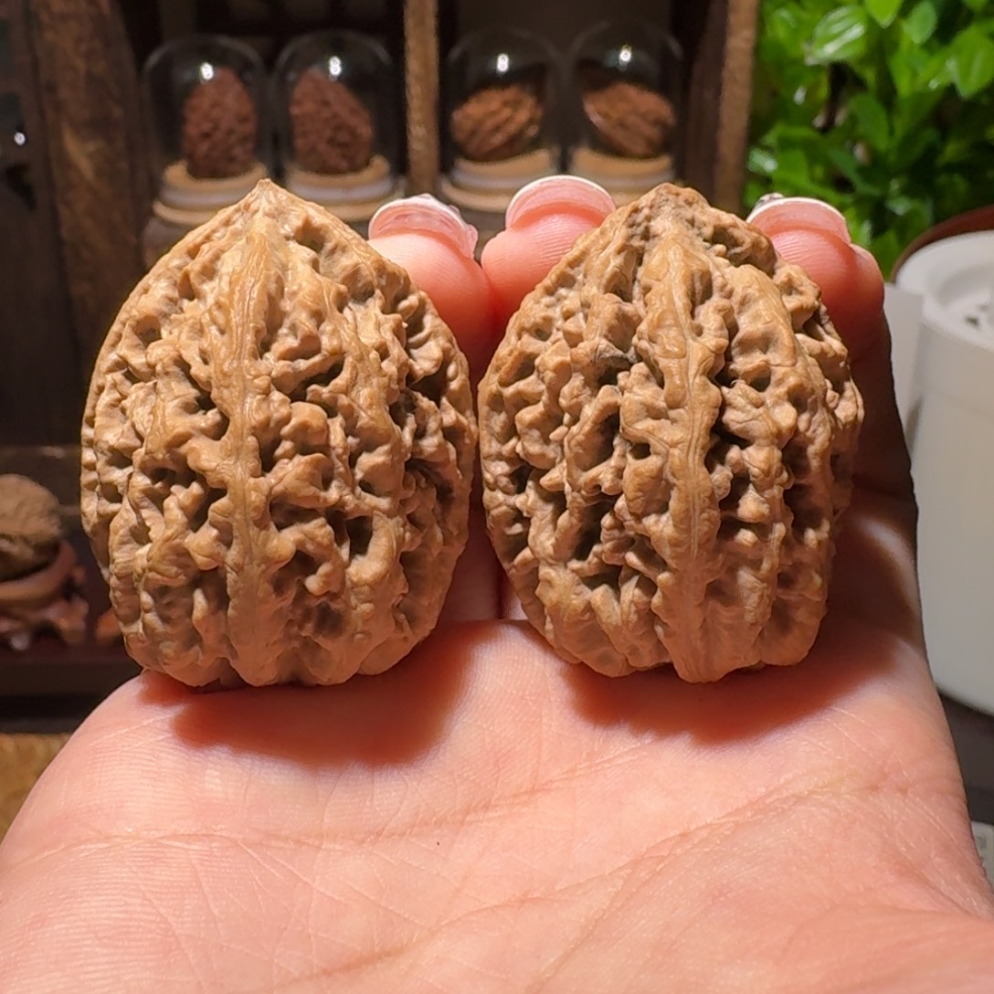 文玩核桃把件蚂蚁窝