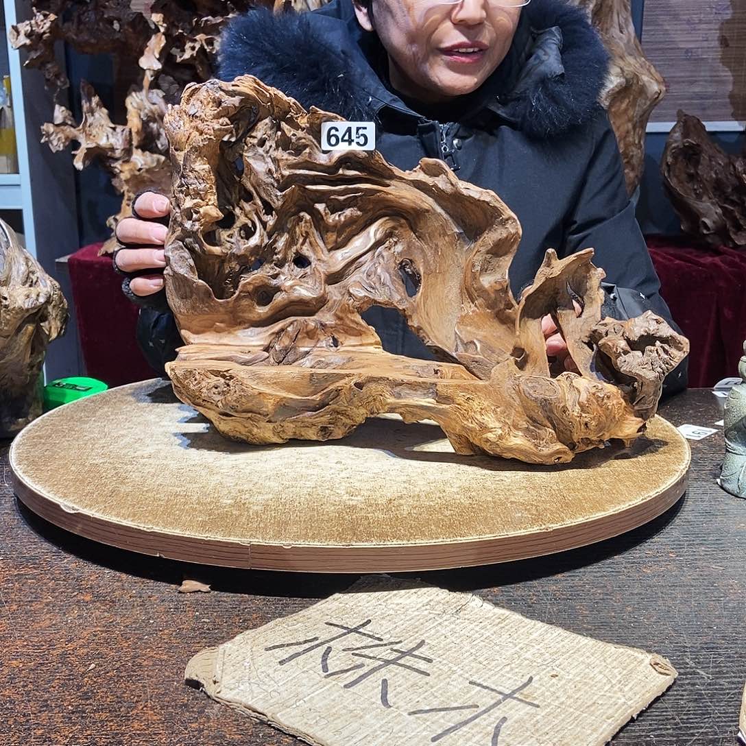 我***莲645。株木随行根艺