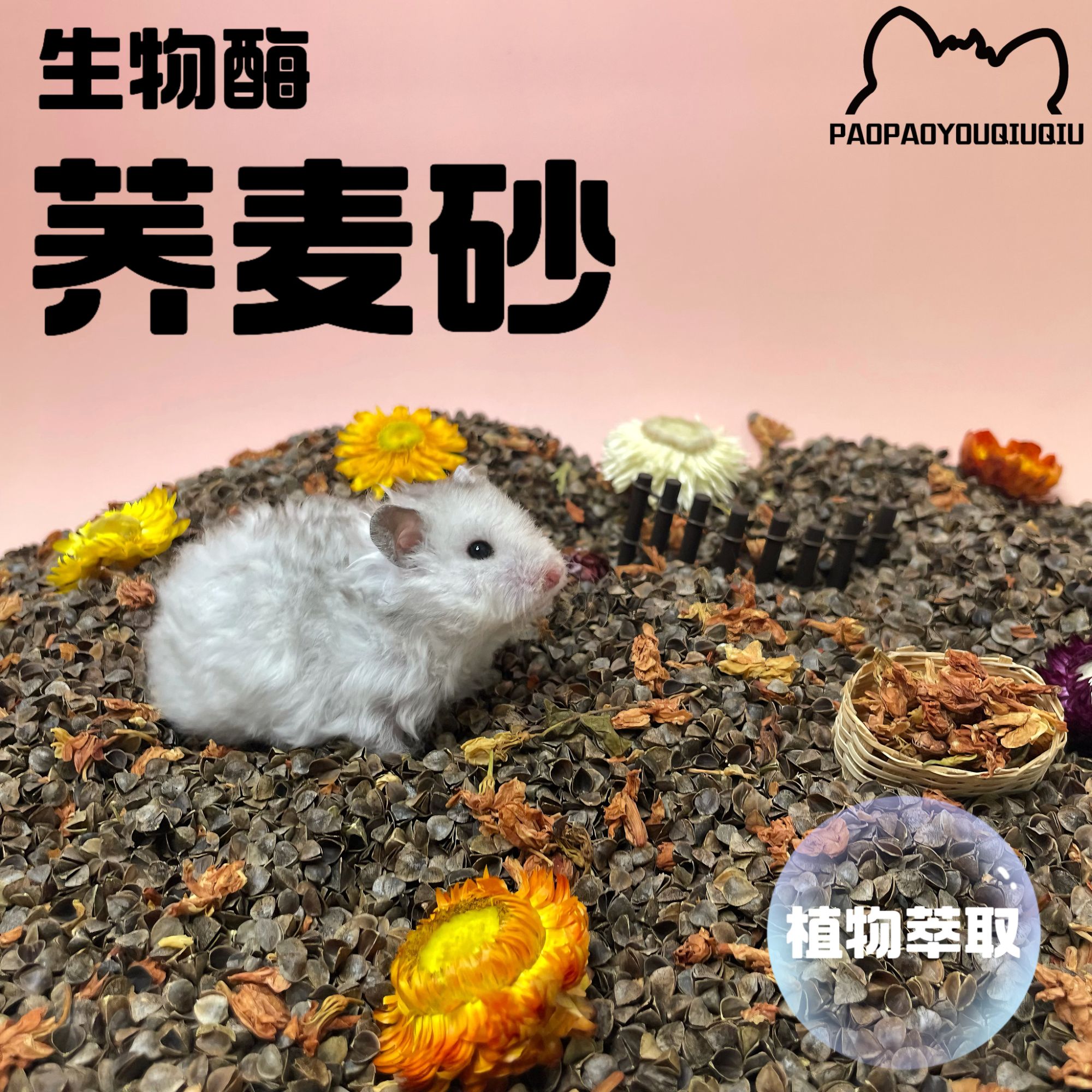 泡泡有球球 生物酶荞麦砂夏季降温垫料金丝熊仓鼠透气低尘挖掘