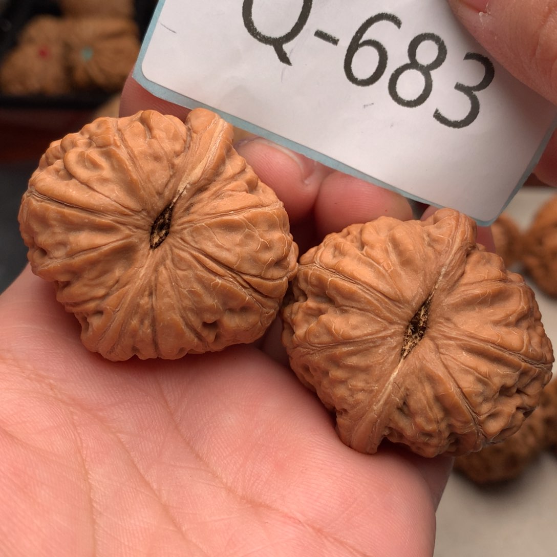 文玩核桃把件42元宝……..