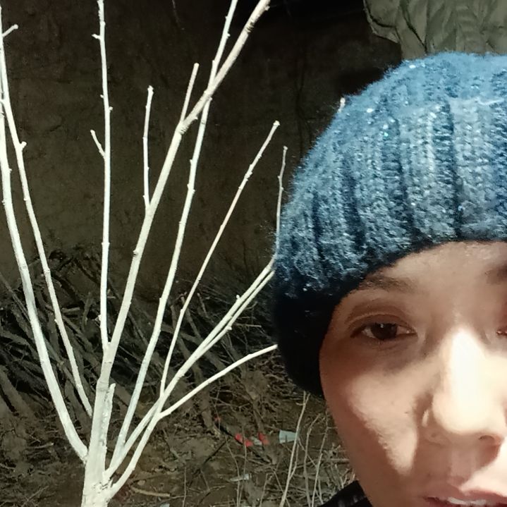 在***上完全开放文冠树一颗