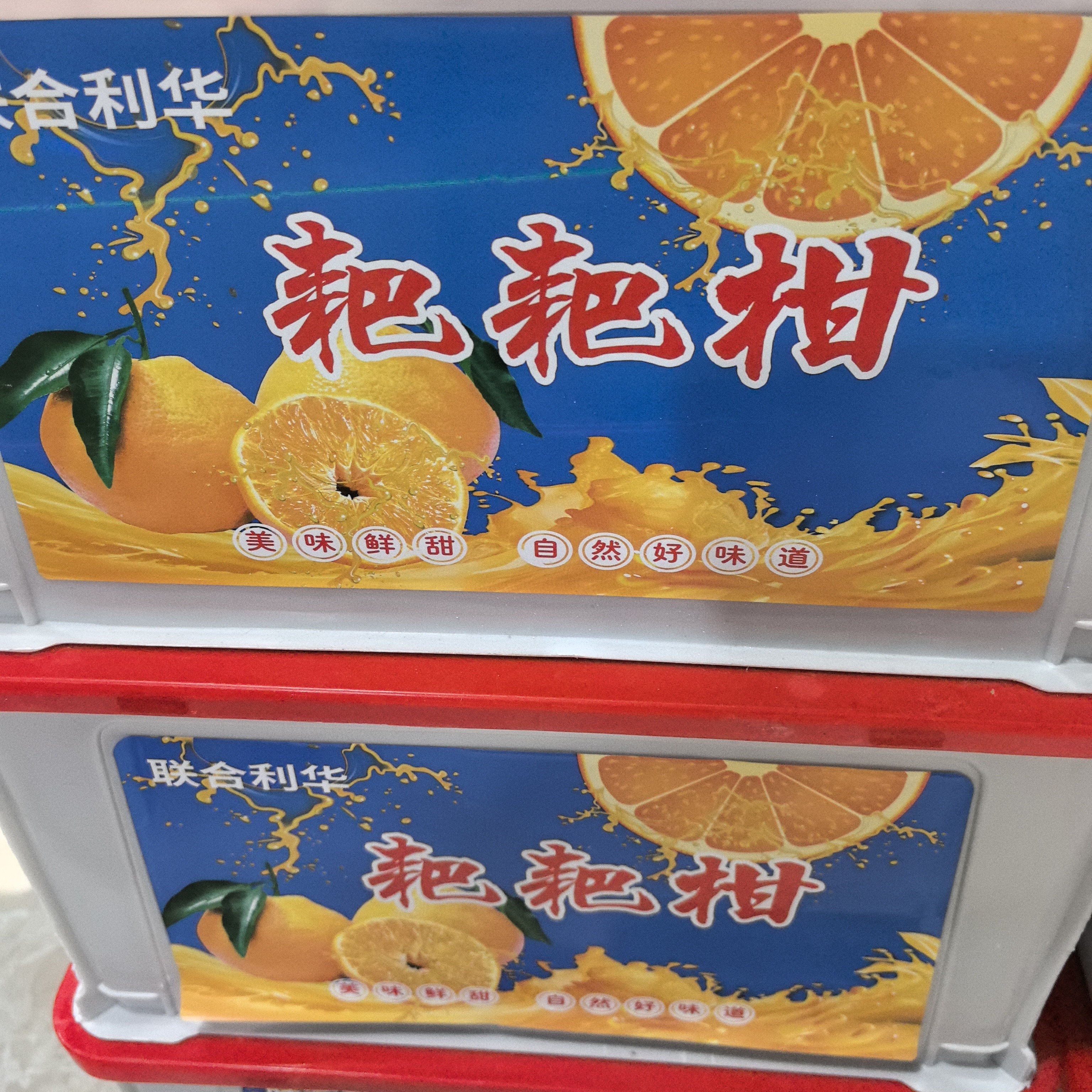 春见/耙耙柑*1箱（箱约5.5斤）四川省