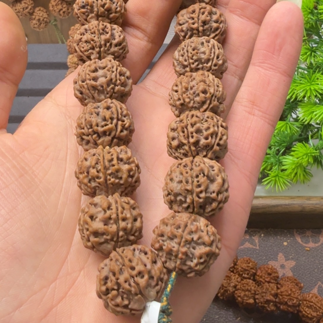 十***生金刚菩提吊坠蜂窝双龙铁籽黄皮满蜂窝
