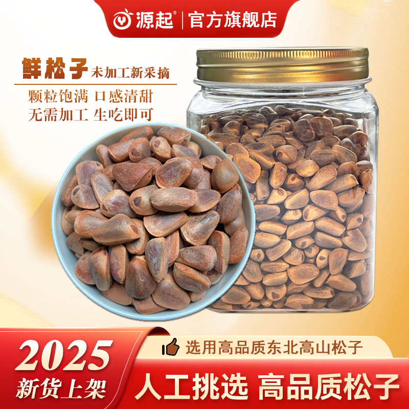 2025年塔干生松子特大颗粒(不开口)特大号松子