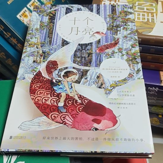 十个月亮（务必塑封）库存书