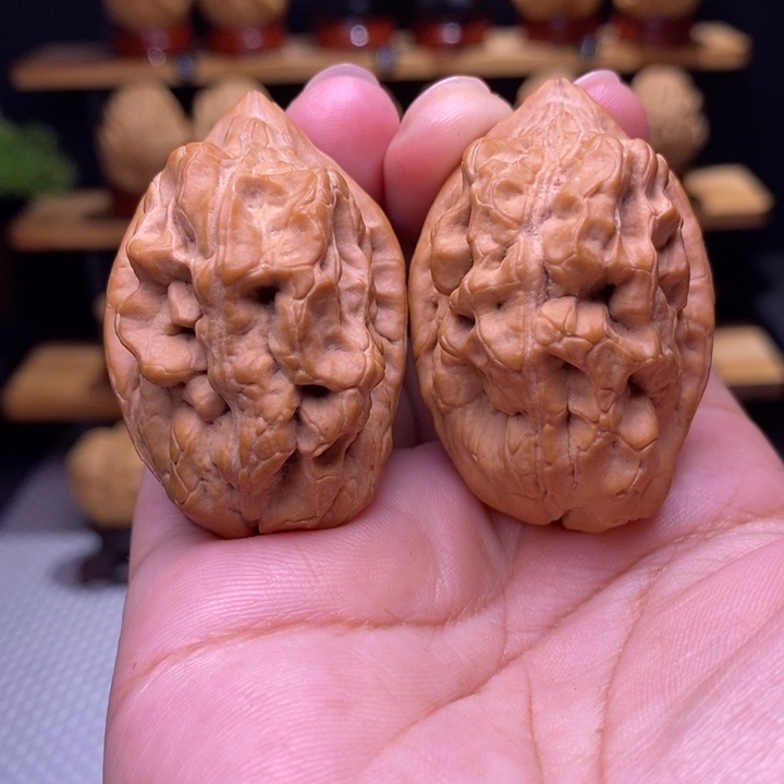 木质类云铁毒蝎子14号38尺