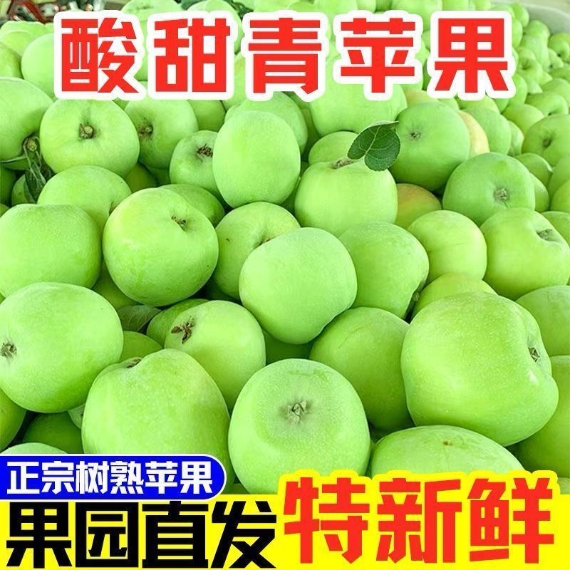 头茬现摘新鲜青苹果当季应季水果酸甜脆爽多汁正宗脆甜产地直发