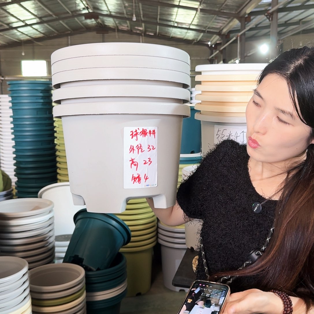 球根4#无拖灰白5个