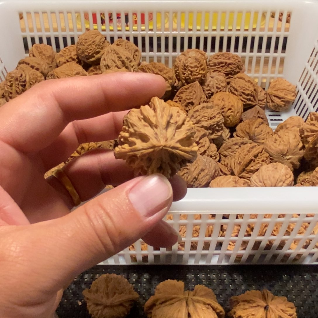M***e吊坠文玩核桃核桃异形单只异形