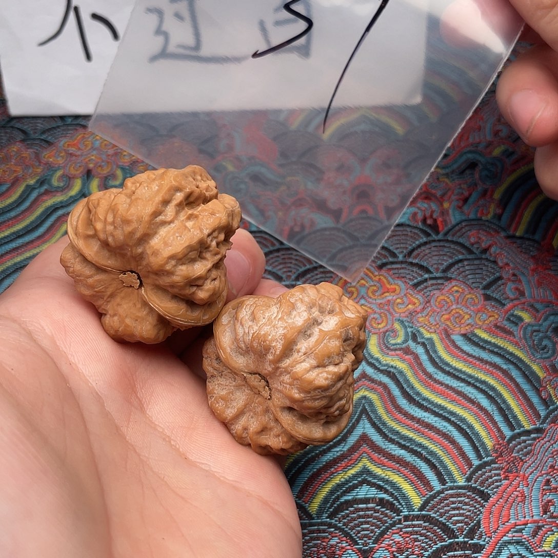 核桃哈哈哈哈哈哈哈哈哈哈哈