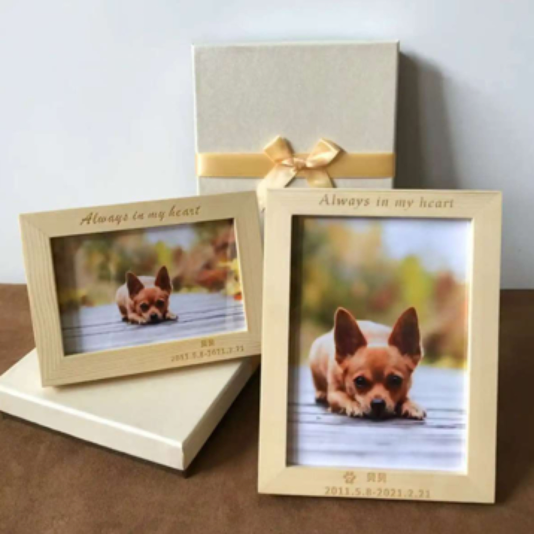 宠物相册新家礼包照片存放