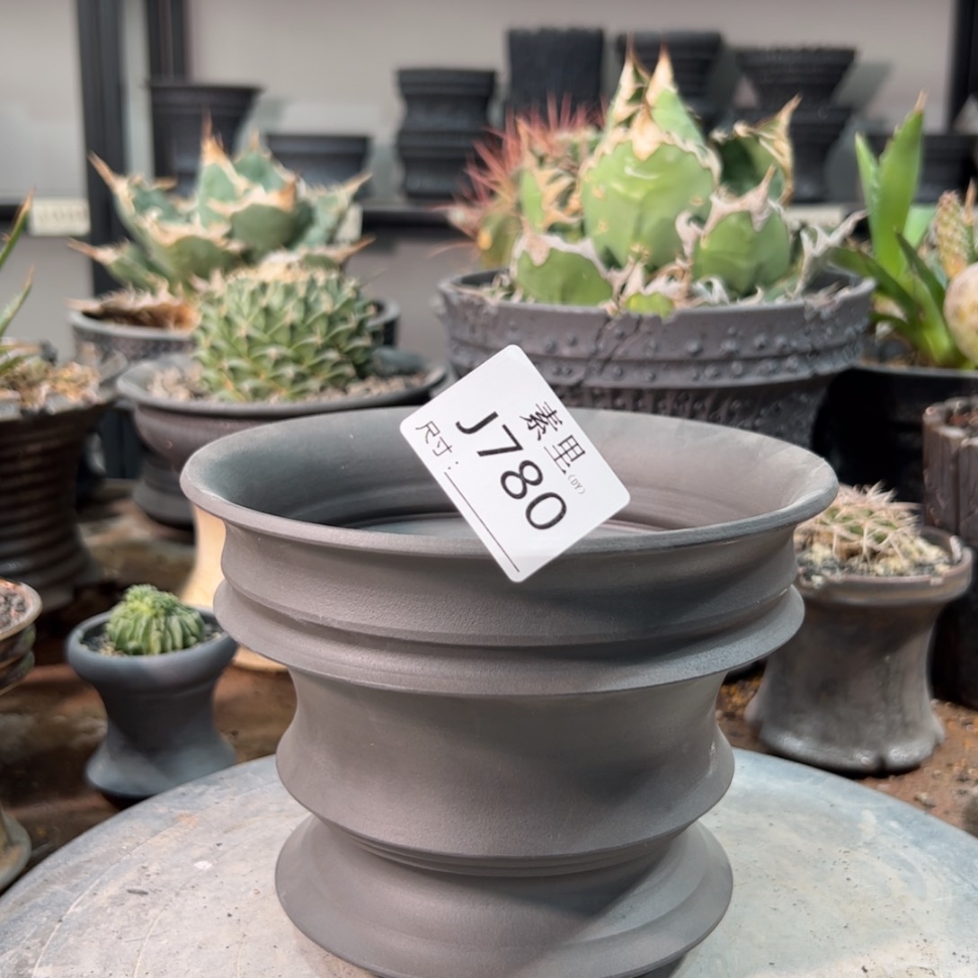 景德镇手工素里内口16高12.5