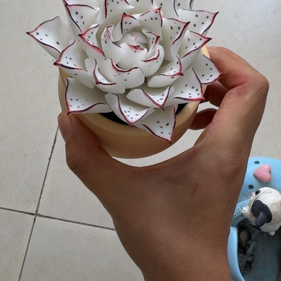 树脂69号送盆盆盆哦哦哦哦哦哦哦哦