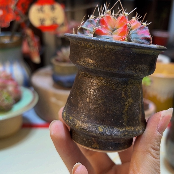 景德镇陶瓷2单包邮