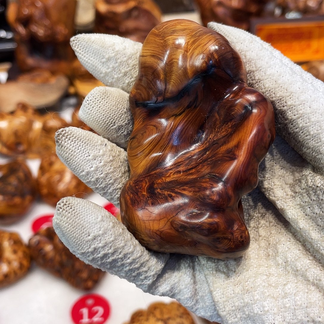 柏木（崖柏）太行崖柏