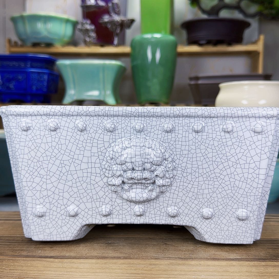 陶瓷花盆特价上新