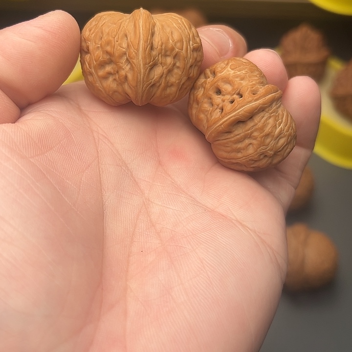 35尺矮桩满肉元宝