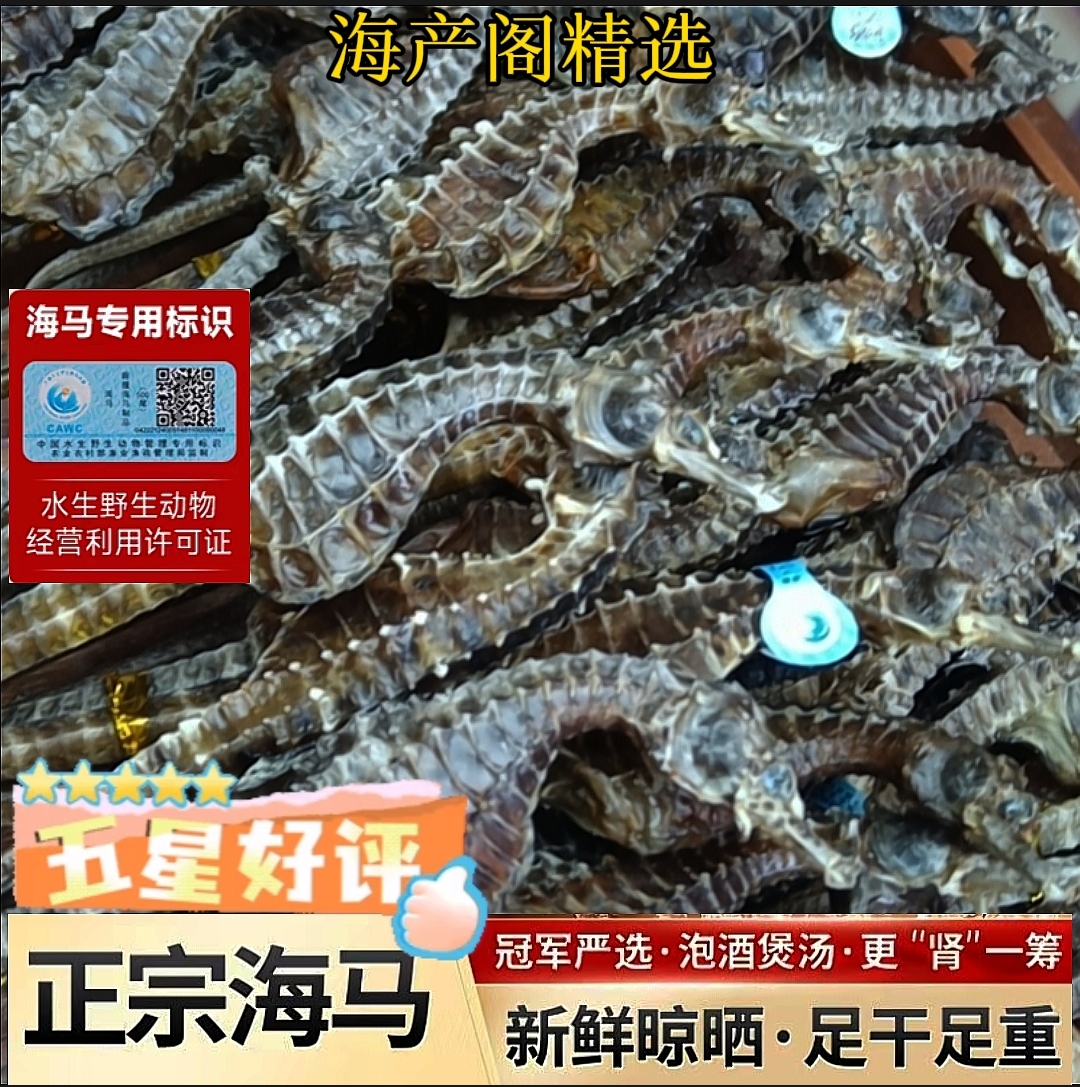 【溯源海马】大号足干正品海马泡酒滋补煲汤秋冬必备【泡酒福利】