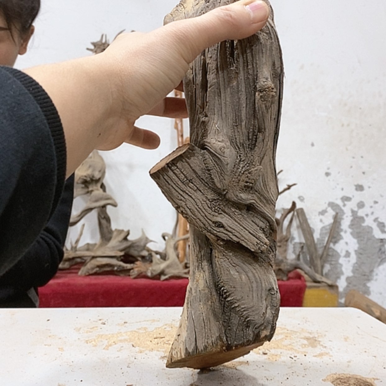 【闪购商品】柏木重*我们都是好孩子