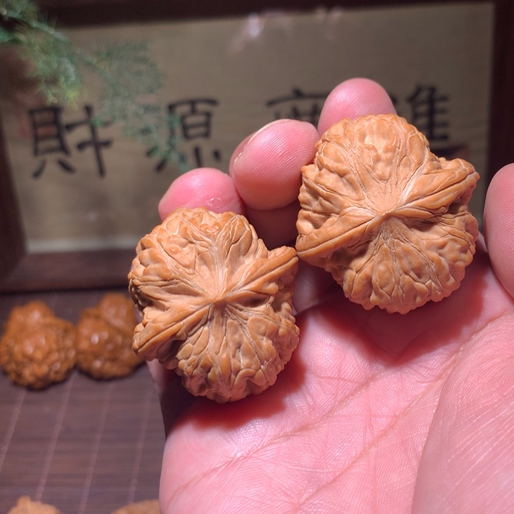 芭蕉扇全品38麻核桃